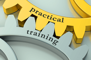 Practical training